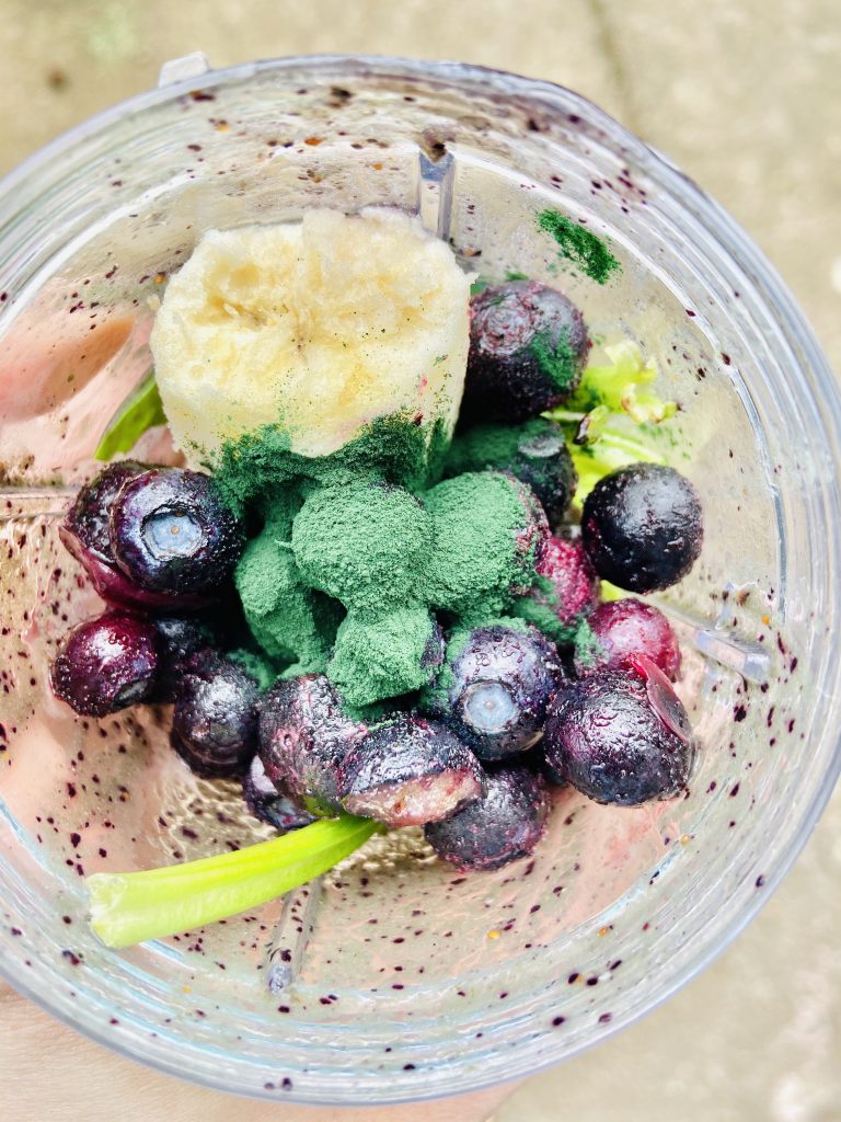 Healthy Blueberry Smoothie for Kids and Toddlers