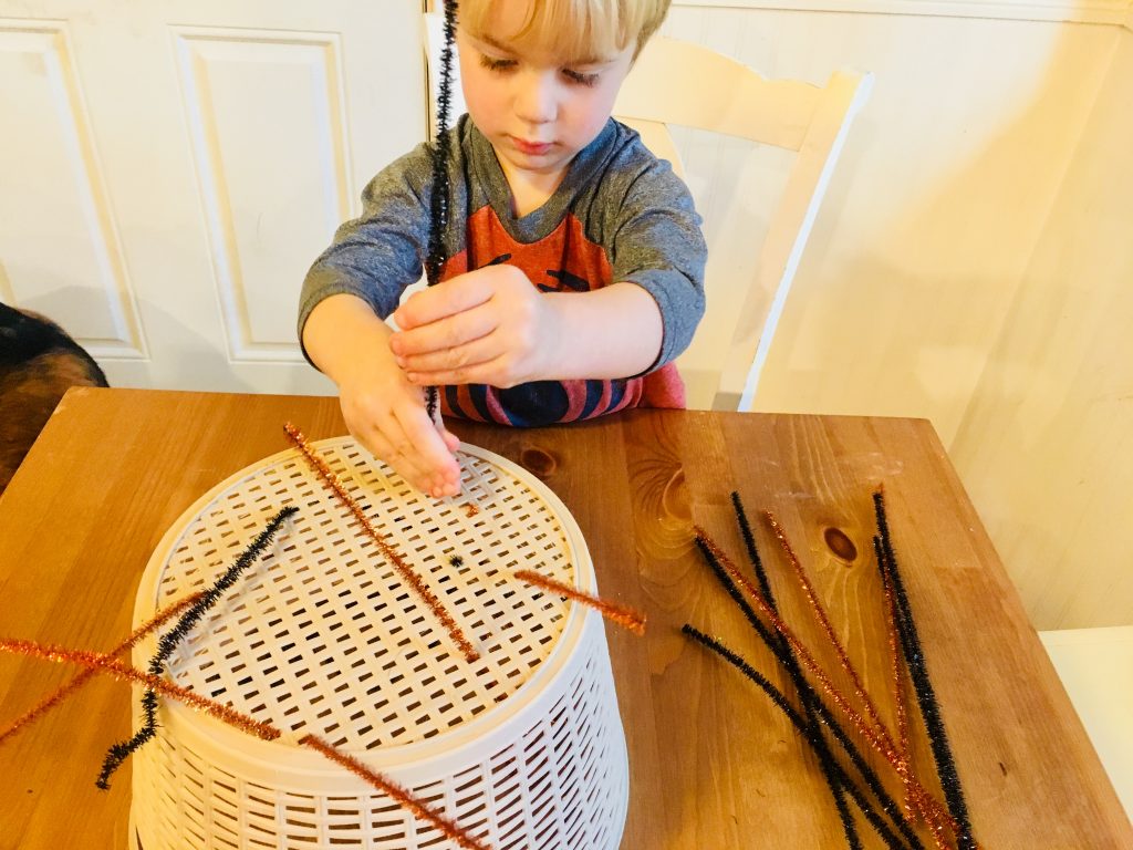 Pipe Cleaner Fine Motor Activity